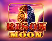 Bison Moon Bison Moon