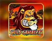 Wild Gambler